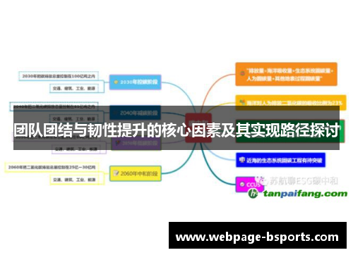 团队团结与韧性提升的核心因素及其实现路径探讨