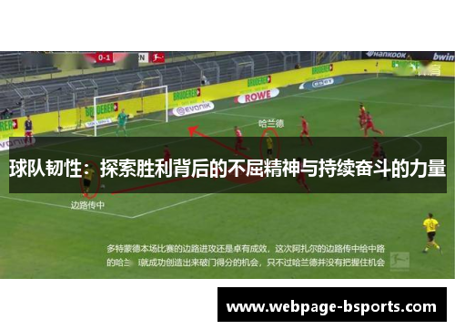 球队韧性：探索胜利背后的不屈精神与持续奋斗的力量